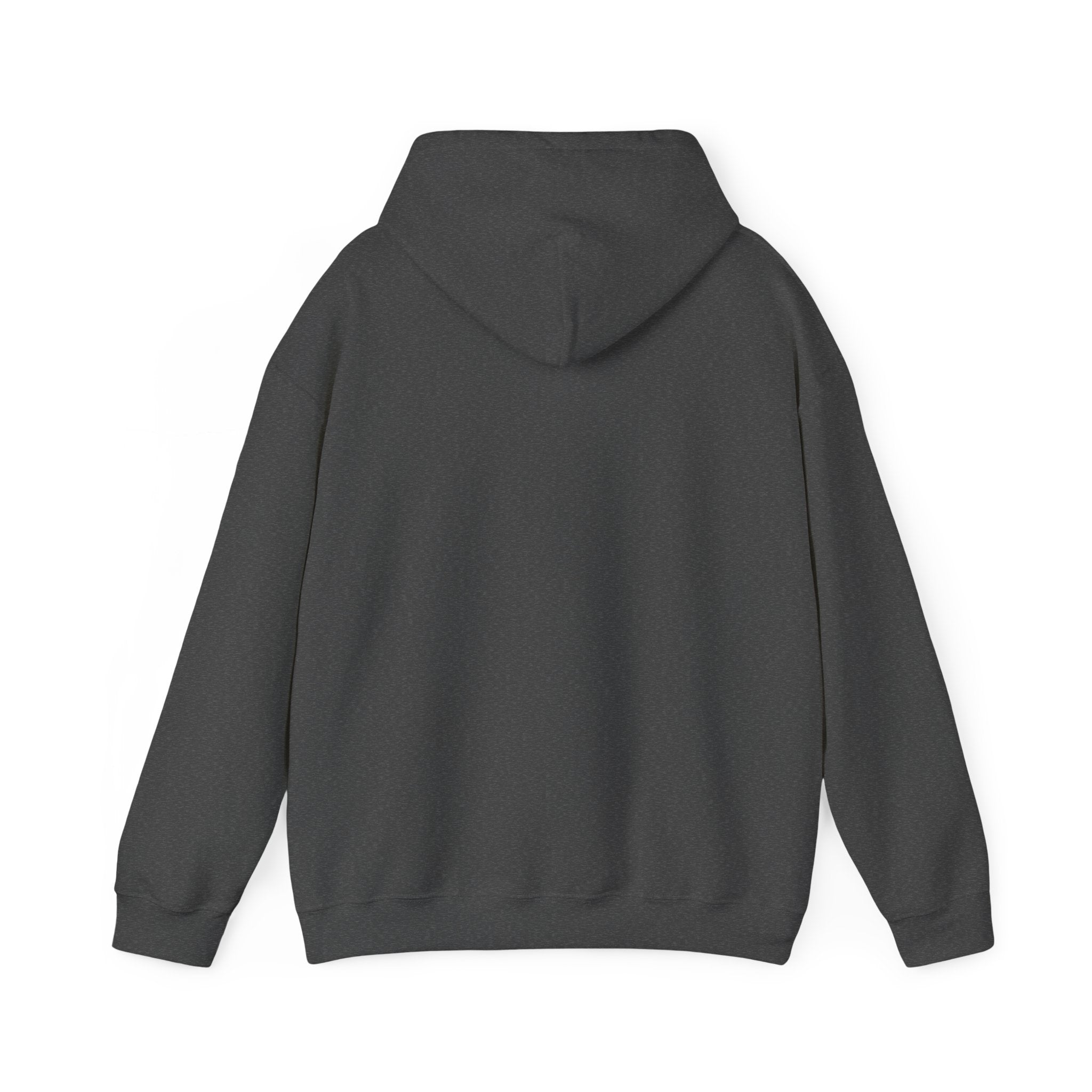 IDC Logo Hoodie